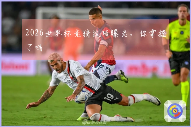 2026世界杯竞猜技巧曝光，你掌握了吗