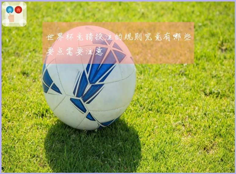 世界杯竞猜投注的规则究竟有哪些要点需要注意