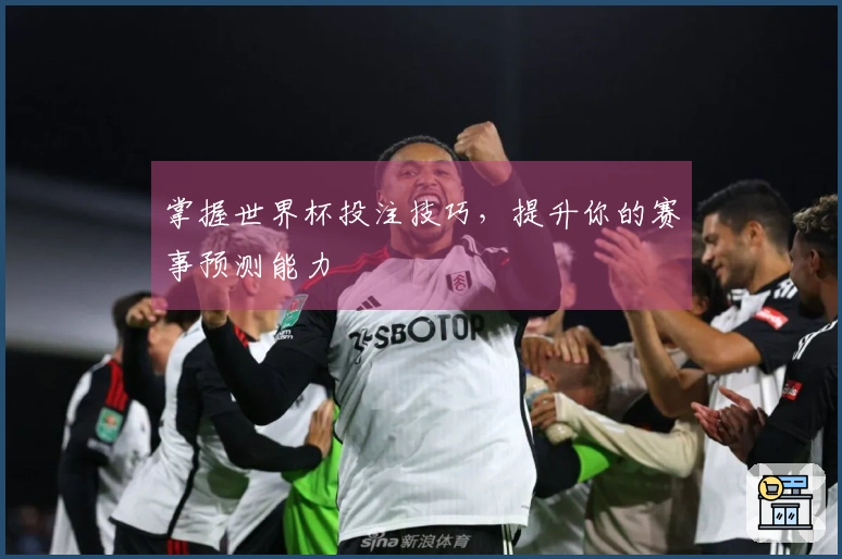 掌握世界杯投注技巧，提升你的赛事预测能力