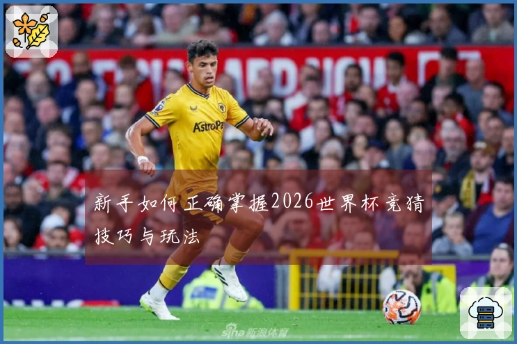 新手如何正确掌握2026世界杯竞猜技巧与玩法